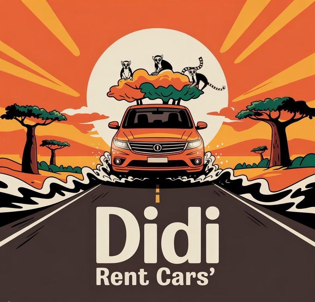 Didi Rent Cars