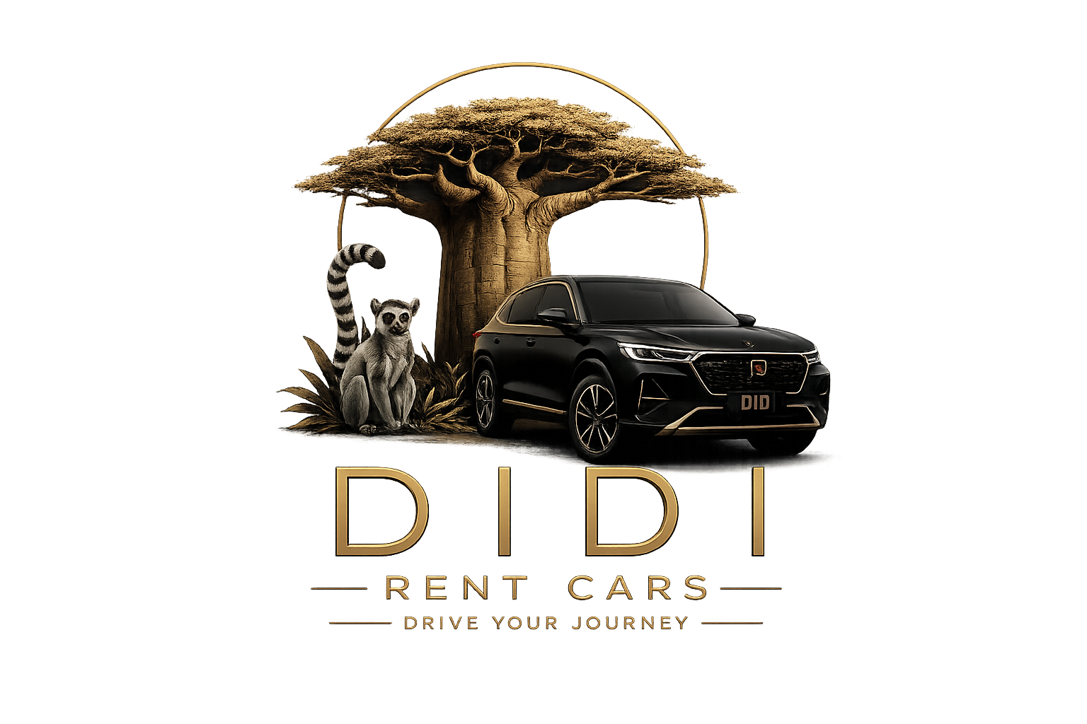 Didi Rent Cars